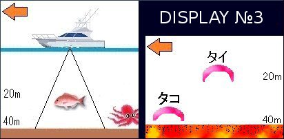 探査範囲のイラスト3