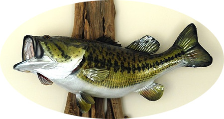 魚のはく製その2