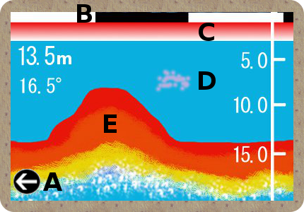 魚探画面の簡略イラスト