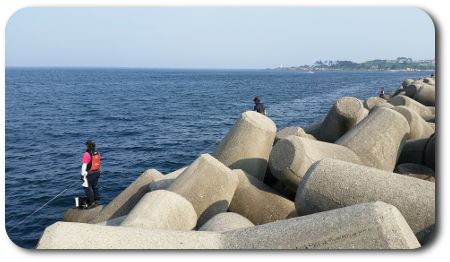 防波堤と釣り人